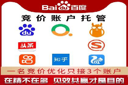 百度SEO推广公司案例分享：行业佼佼者经验